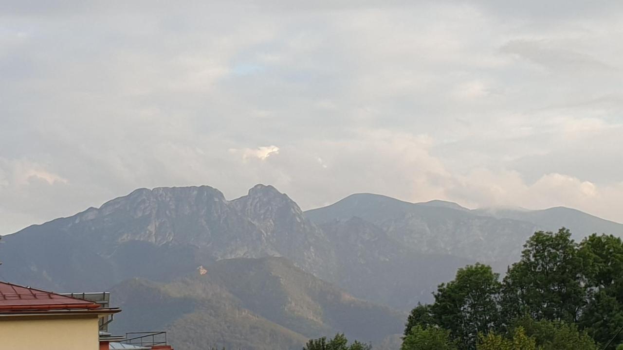 Villa Fortuna - Regionalne Apartamenty & Spa - Sauna, Grill, Jacuzzi Z Widokiem Na Tatry Zakopane Eksteriør bilde
