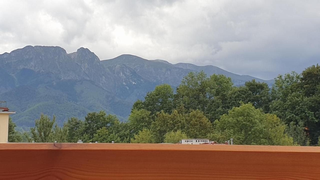 Villa Fortuna - Regionalne Apartamenty & Spa - Sauna, Grill, Jacuzzi Z Widokiem Na Tatry Zakopane Eksteriør bilde